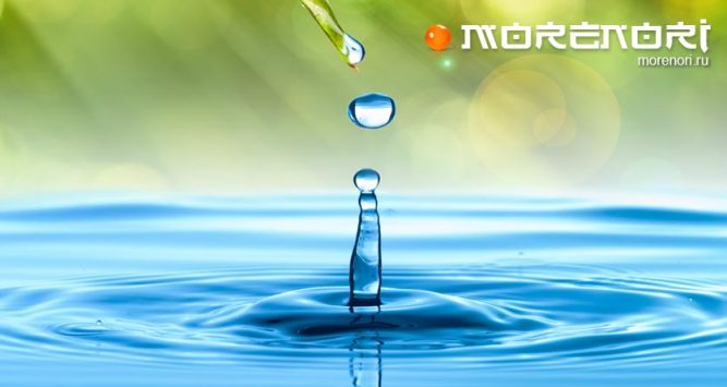 чистая вода чистая вода