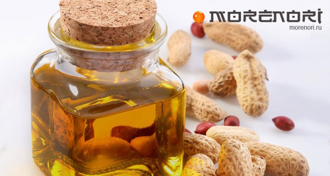 Изготовление арахисового масла Изготовление арахисового масла