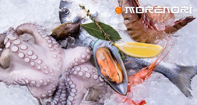 Морепродукты на нашем столе Морепродукты на нашем столе