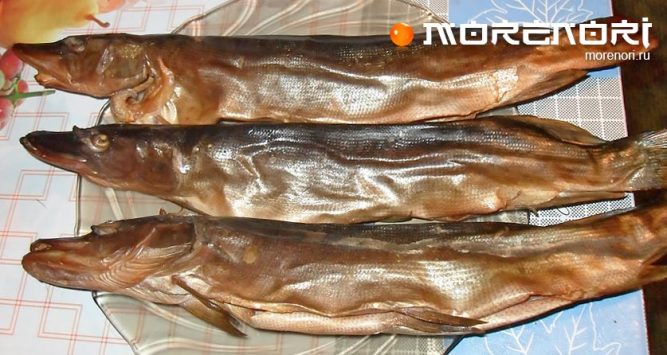 рецепт копчёной рыбы рецепт копчёной рыбы