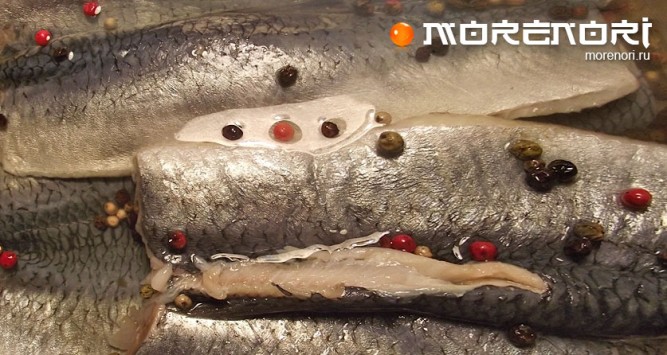 Сельдь в уксусном маринаде Сельдь в уксусном маринаде
