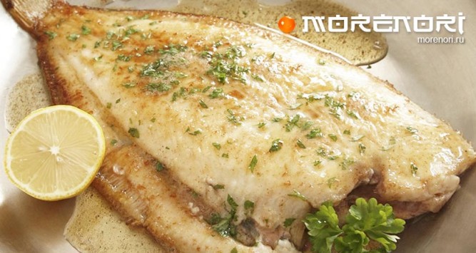 морской язык морской язык