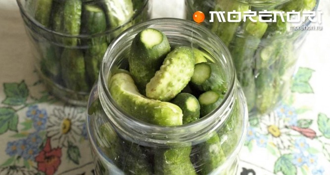 Огурчики маринованные с эстрагоном Огурчики маринованные с эстрагоном